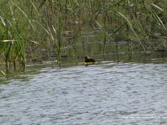 P1230271