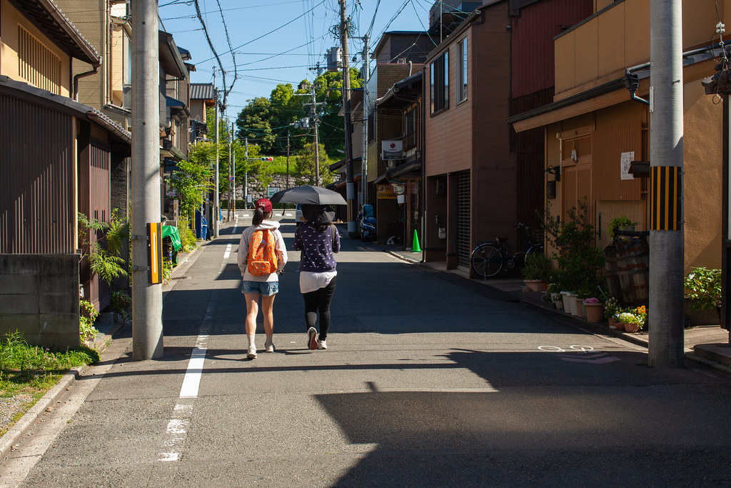 日本．京都：元離宮二条城、天龍寺、嵐山渡月橋、嵐山竹林小徑