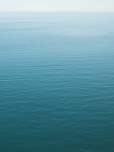 NJ Coast Aerial Survey / June 2