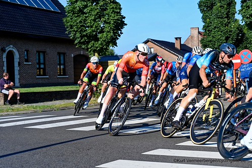 Herenthout (350)