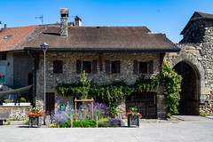 14-Village d'Yvoire • <a style="font-size:0.8em;" href="http://www.flickr.com/photos/161151931@N05/55436911126/" target="_blank">View on Flickr</a>