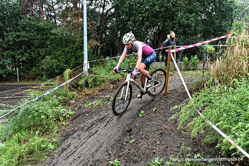dames (232)