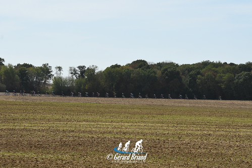 Sourdun (58)
