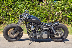 Bobber