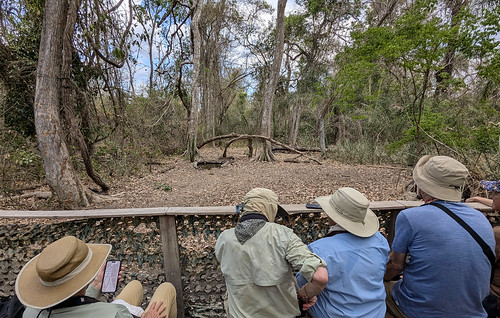 View from the Hide