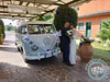 Coccole