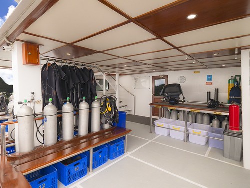 Dive Deck