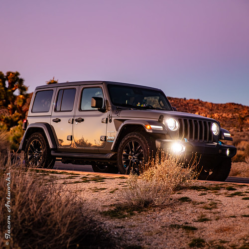 Joshua Tree Jeep Sunset