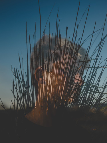 Reed X Dunegrass