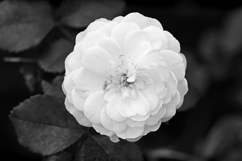 2026 07 31_d5300_0112