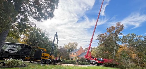? Tree Removal & Crane Service in Westford, MA