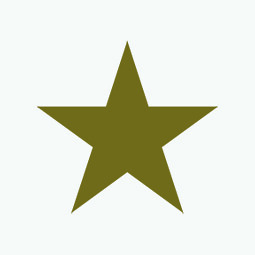 Gold Star for PRO★DIGY Group