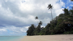 Vaimaaga, Rarotonga (482089)